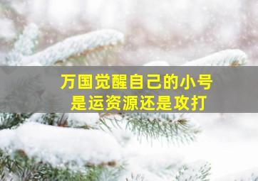 万国觉醒自己的小号 是运资源还是攻打